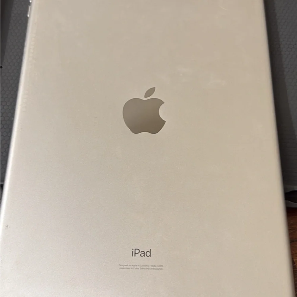Apple iPad - Elegant Sliver